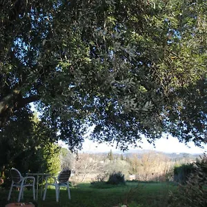 Fattoria Di Malavolta , Firenze Italia